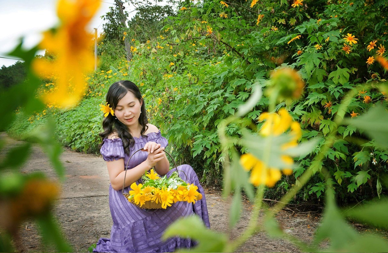 Gia Lai: Đẹp, hấp dẫn, mời gọi từ “Tuần lễ hoa dã quỳ - núi lửa Chư Đăng Ya”